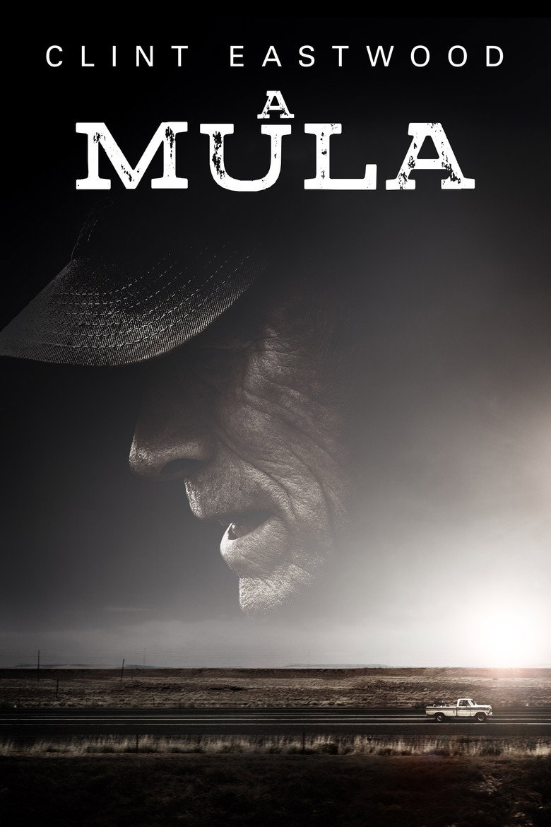 Póster la Película