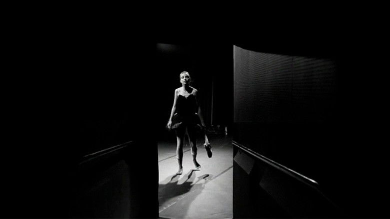 Gallery image from q6qMmWGJI1c70zjPGvJ1Su9xIbW.jpg