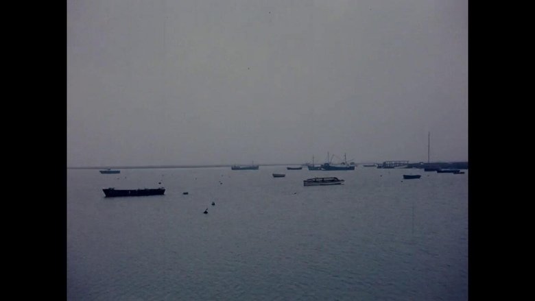 Gallery image from q71c4NPIzdJo4Sd5Lb3SfbEeG18.jpg