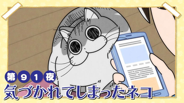 Still image for Nights with a Cat season 1 episode 91: Night 91: Exposed Cat