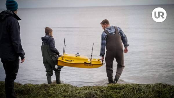 Still image for Sverige, krisen och jag season 1 episode 5: Episode 5