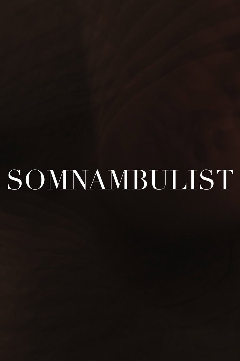 Imatge de The Somnambulist