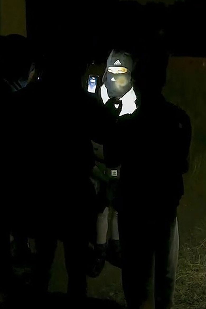 Imatge de O Magic Power of Bleakness (Five screens)