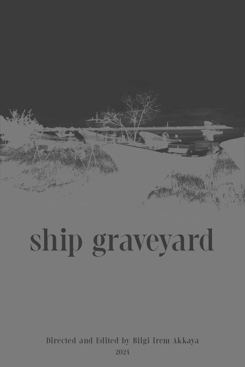 Imatge de Gemi Mezarlığı