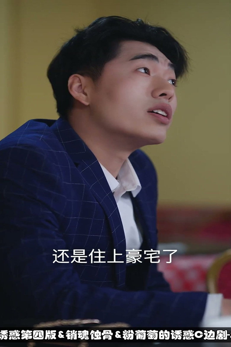 Official poster for 温柔的诱惑