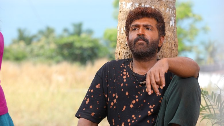 Gallery image from q8uDt1Lga9jeD9mi8GEHbe4ogs0.jpg