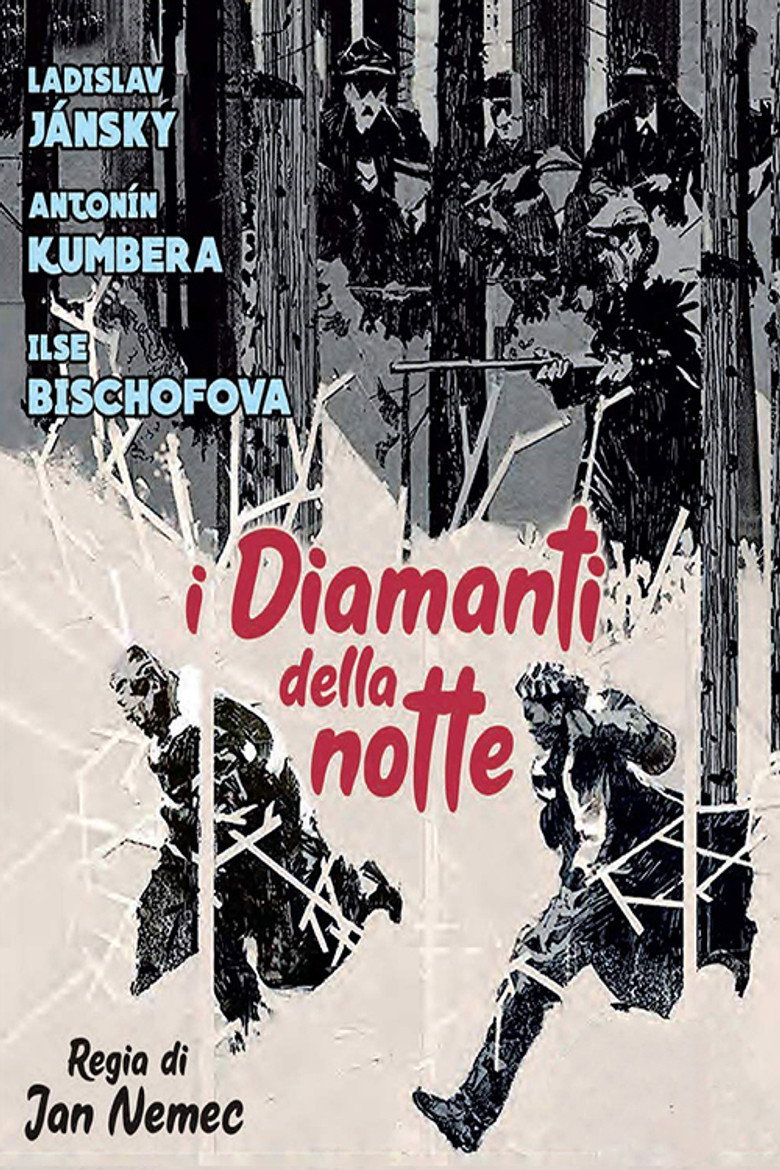 Copertina di I diamanti della notte