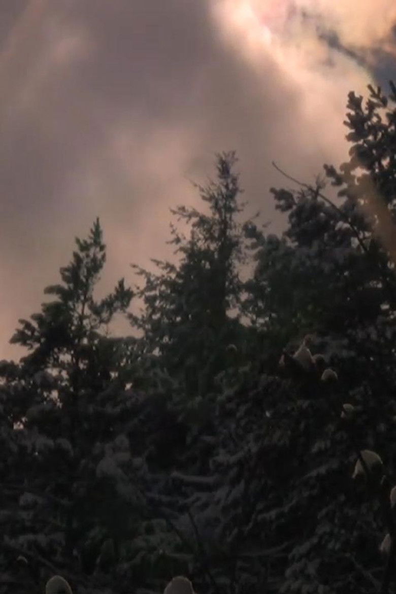 Imatge de Le haricot bleu