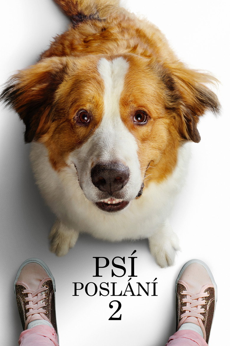 Ps&iacute; posl&aacute;n&iacute; 2 (2019)