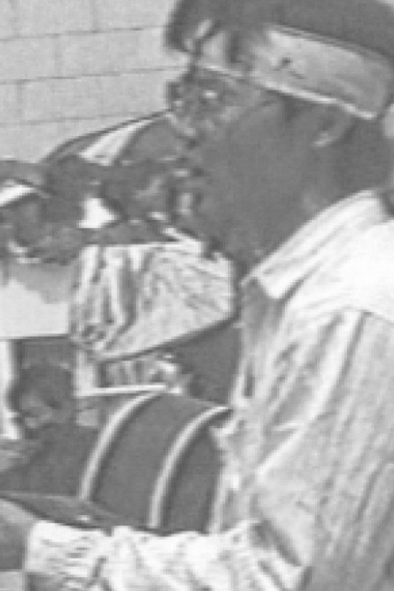 Imatge de 野百合的春天