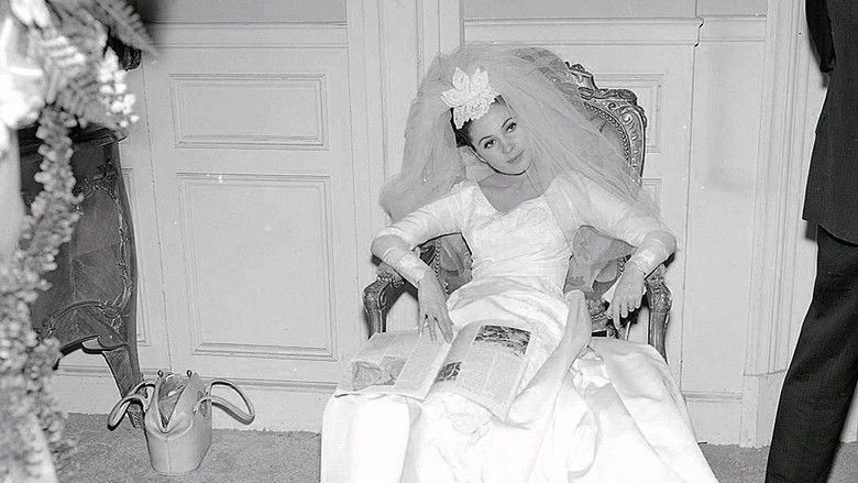 Gallery image from qAchnL9nQctdvh5wbH8txSQ0s5d.jpg