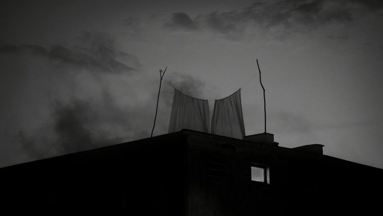 Gallery image from qBs2N50N4NLAY0xEeTA8ZNEOm0P.jpg