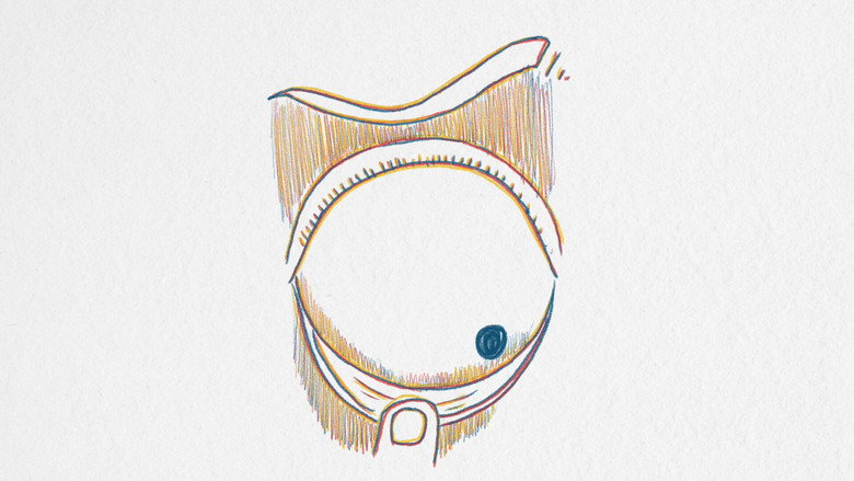 Imatge de The Horizon from the Tip of the Nose