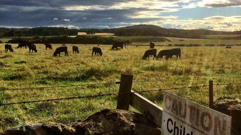 Gallery image from qDMprN4BF3yIuD9UPhaEQq9Pg2m.jpg