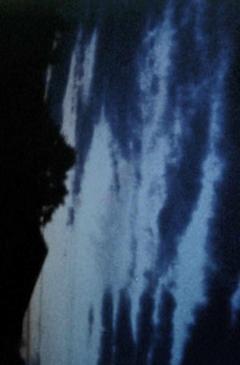 Imatge de Anticipation of the Night