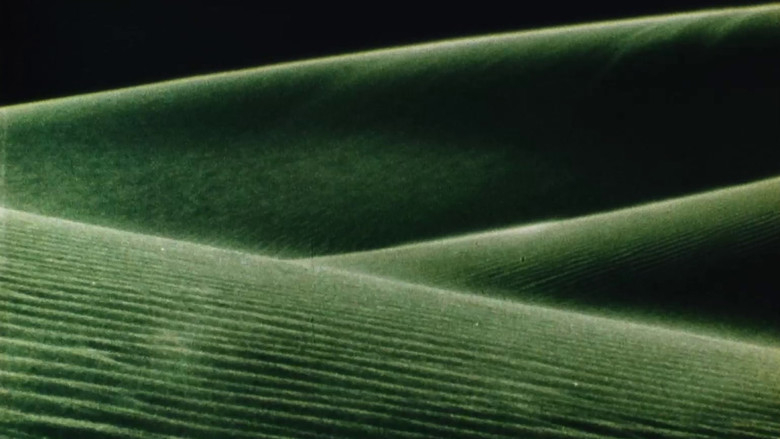 Gallery image from qDyilwWah3uOVpCipzItY20PzHL.jpg