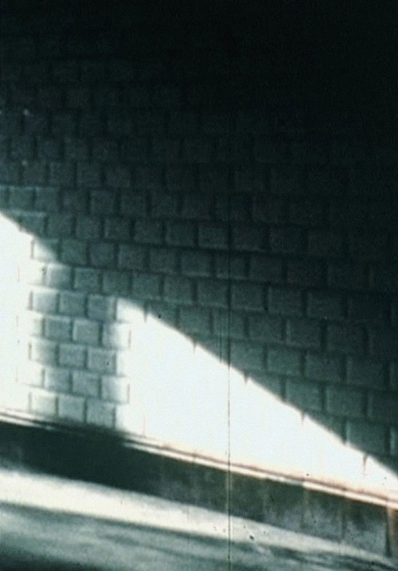 Imatge de Passage du thermomètre