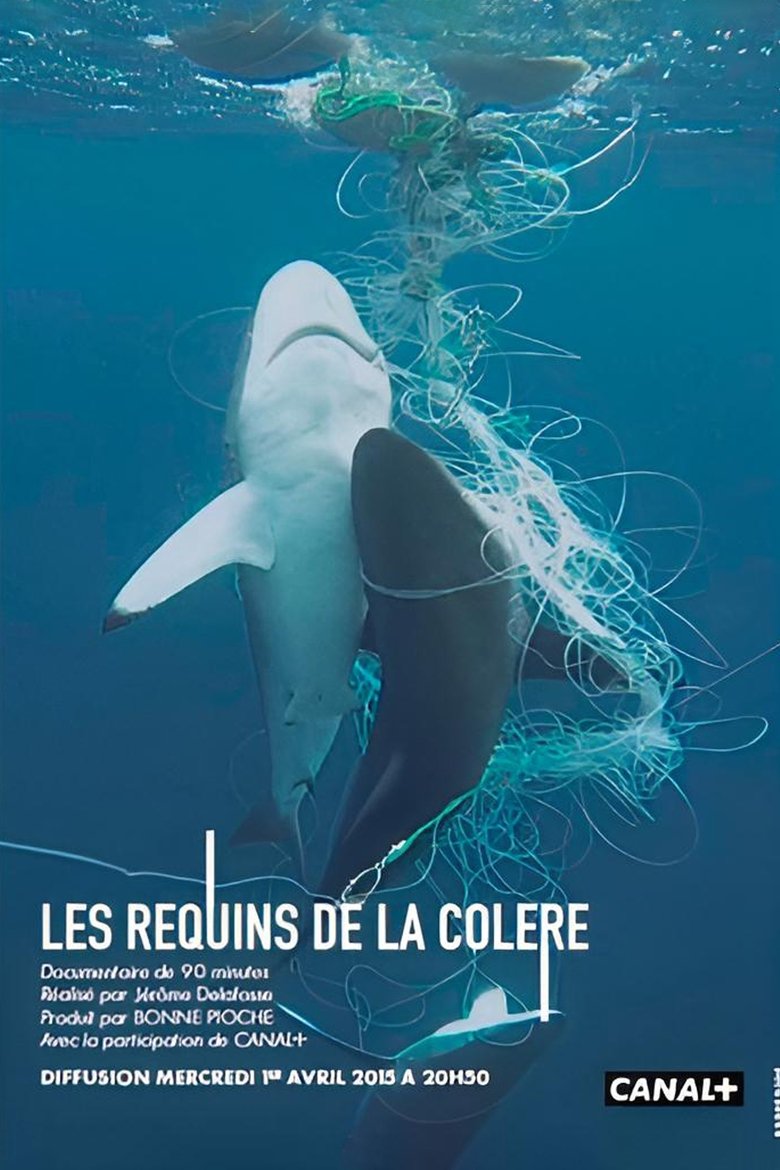 Les Requins de la Colère main poster