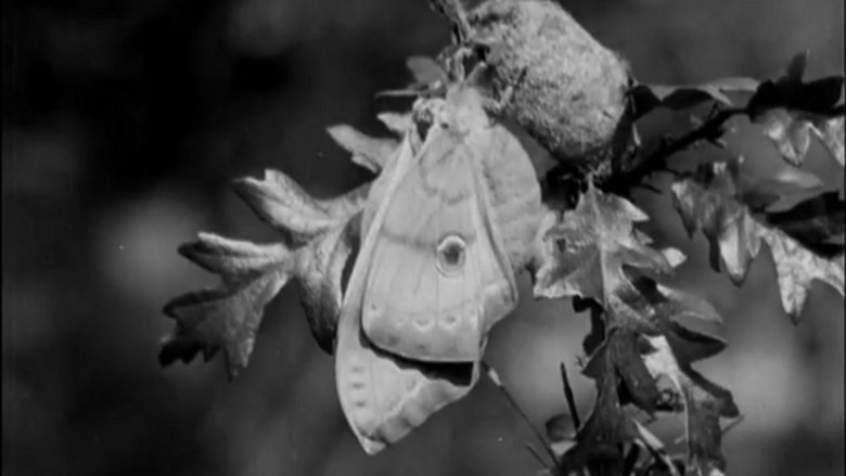 Gallery image from qELGCDzlzSaC9aBcSVgQ3QpJcsK.jpg