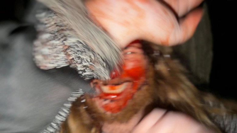 My Found Footage