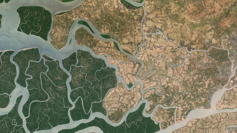 Imatge de 2024: The Year From Space