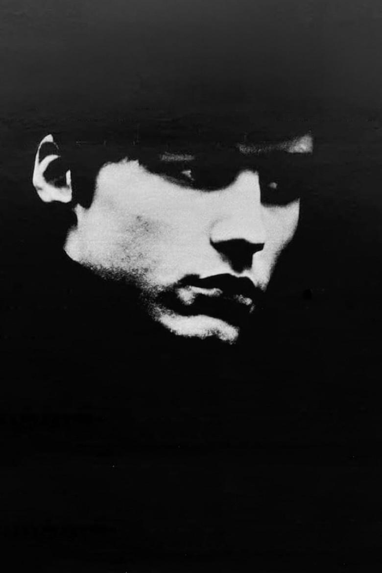 Imatge de Der Findling