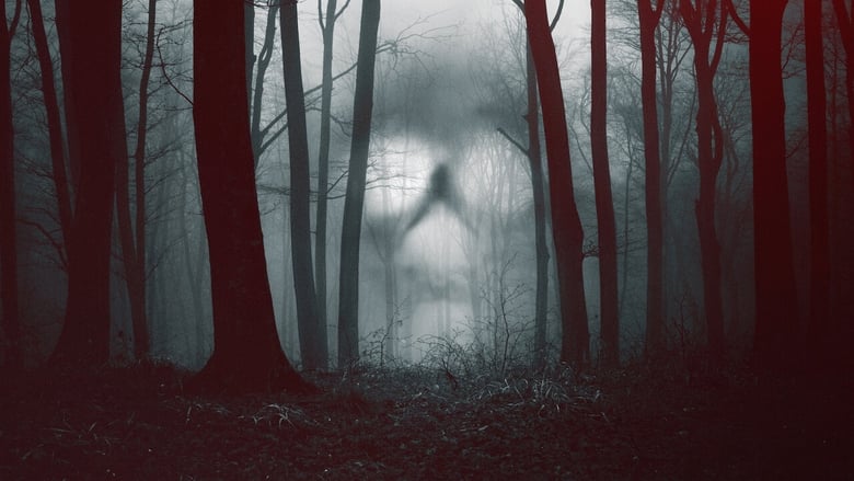 Gallery image from qFeyTtBfOUxkCAwiq88DzyjIsAd.jpg