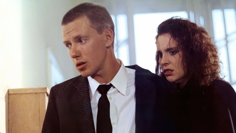 Gallery image from qGDfEpjMisT302eebdud98PBK6k.jpg