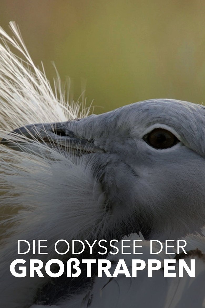 Die Odyssee der Großtrappen - Das Comeback der Riesenvögel main poster