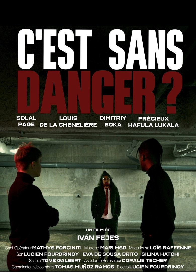 Imatge de C'est sans danger ?