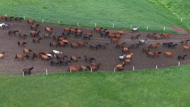 S01E24 – Episode 24