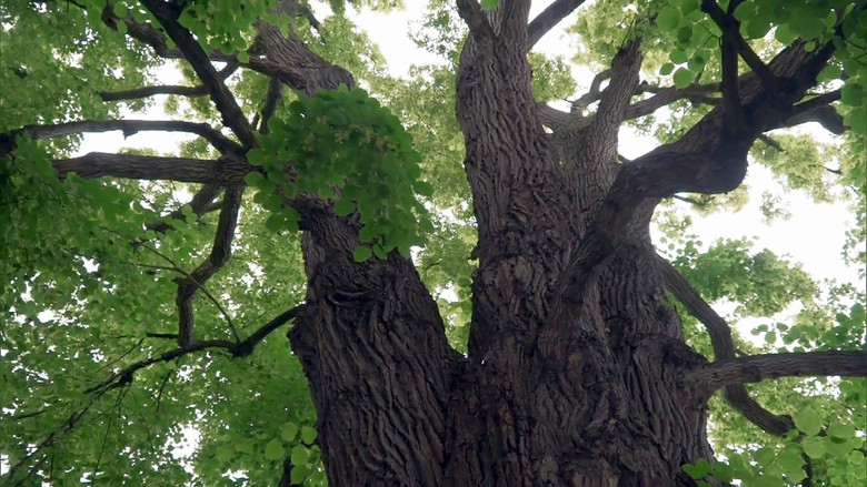 Still image for Co naše babičky uměly a na co my jsme zapomněli season 1 episode 4: Episode 4