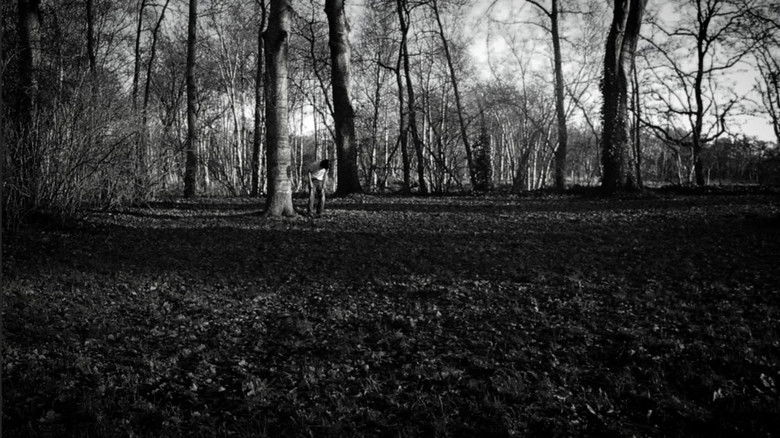 Gallery image from qI4J4uAOsbZS1wwTpEoF7FC4m1i.jpg