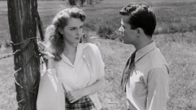 Gallery image from qI7bocTb194ITIW8OTlZTzetpnS.jpg