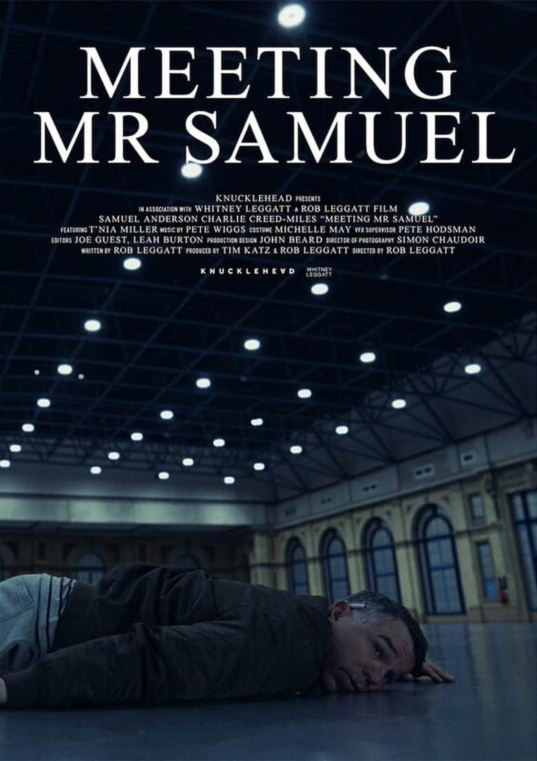 Meeting Mr Samuel main poster