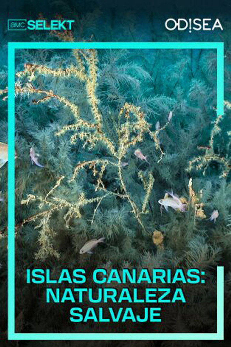 Official poster for Islas Canarias: naturaleza salvaje