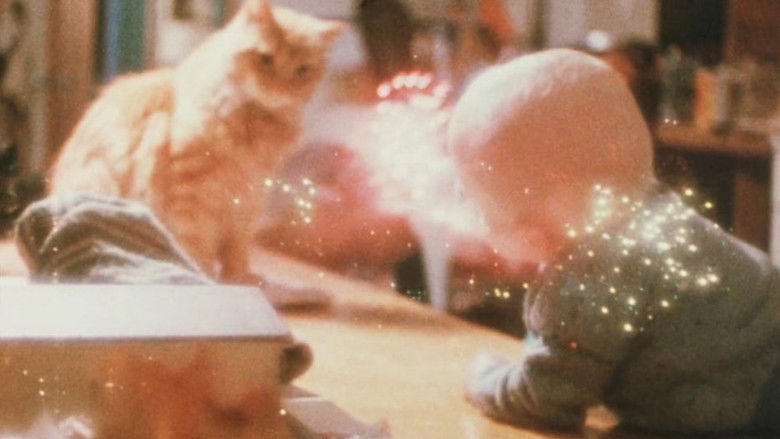 He Stands in a Desert Counting the Seconds of His Life backdrop 3