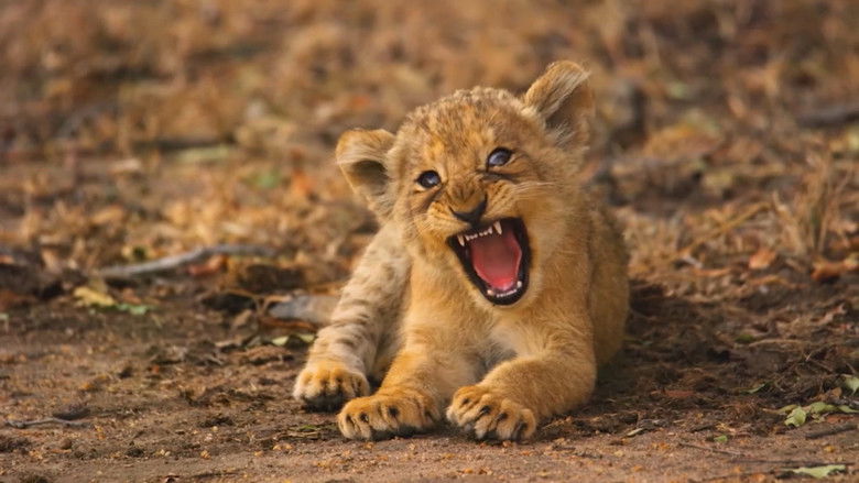 Still image for New Kids in the Wild season 1 episode 2: Chinga the Lion Cub Still image for New Kids in the Wild season 1 episode 2: Chinga the Lion Cub