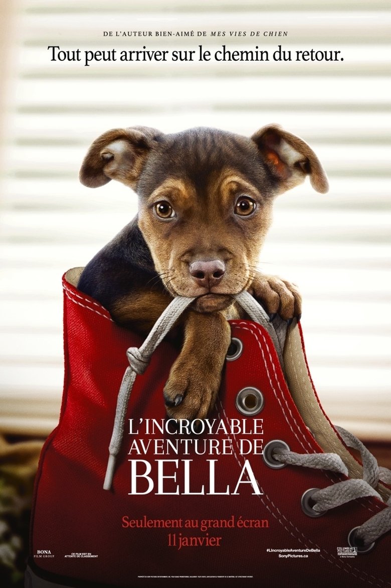 L Incroyable Aventure De Bella Film Complet En Francais L’Incroyable Aventure de Bella (2019) Film Complet en Streaming VF