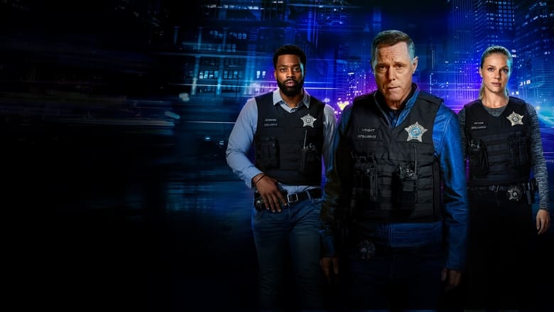 Chicago P.D. Season 1 Episode 4 : Now is Always Temporary