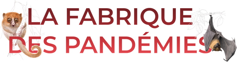 La fabrique des pandémies