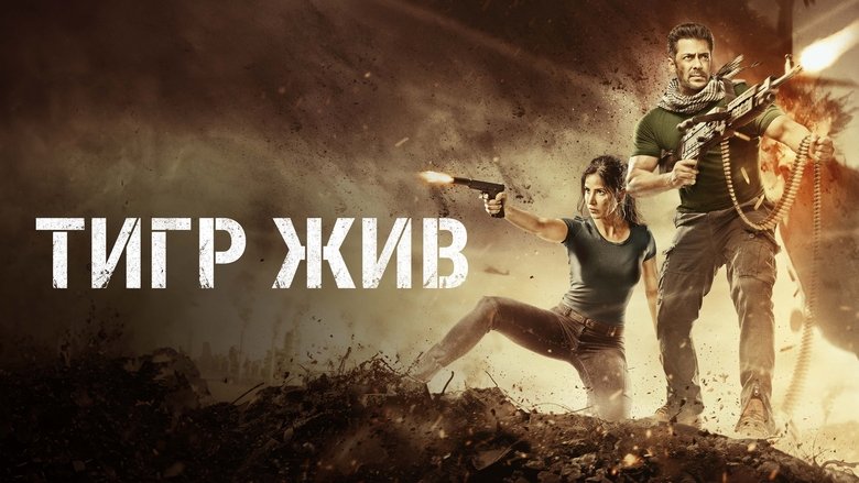 Tiger Zinda Hai (2017)