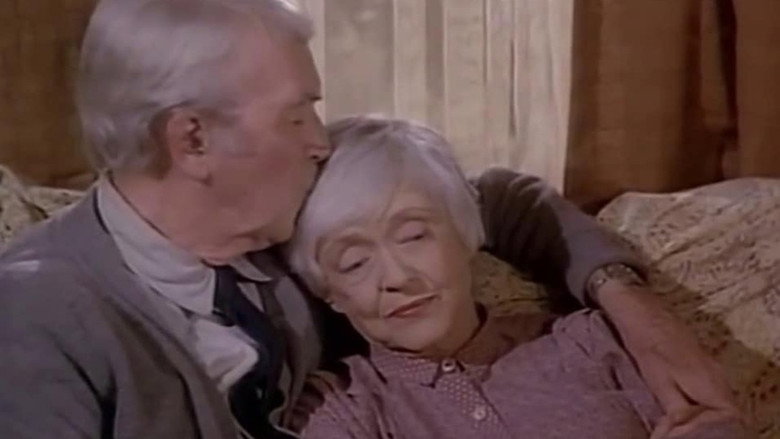 Imatge de El dret d’escollir