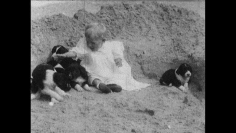 Imatge de Wonder Dogs! Canine Stars of the Silent Era (1898-1928)