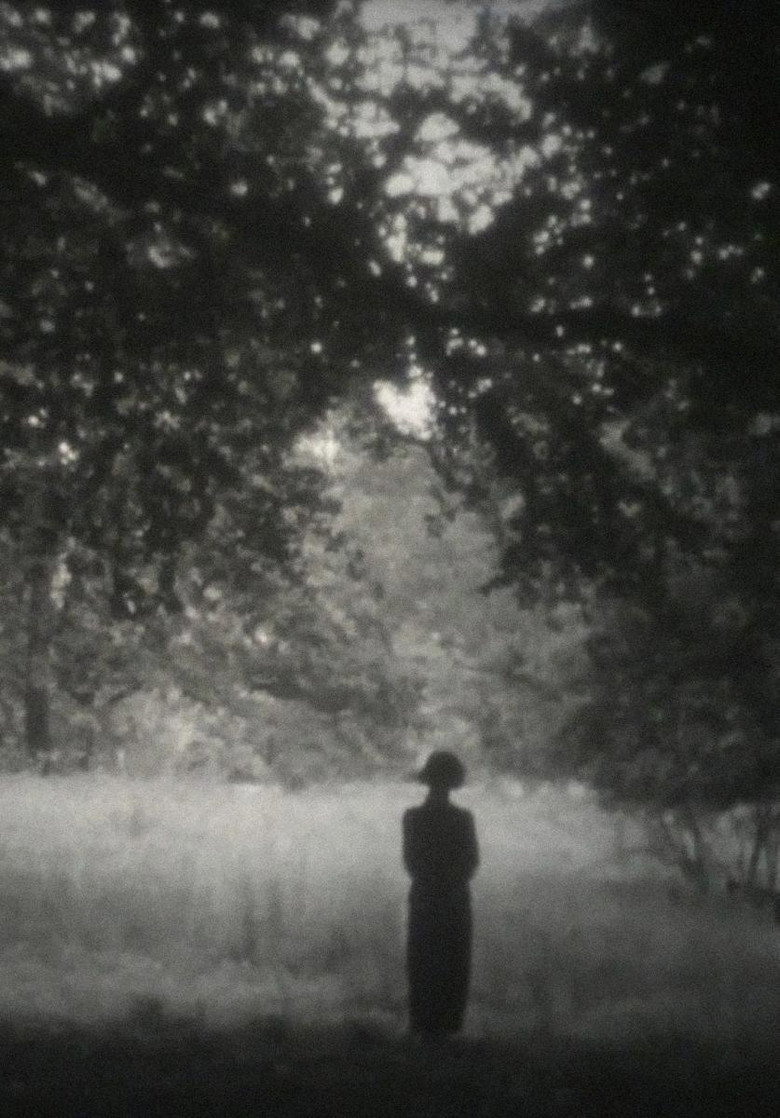 Film backdrop