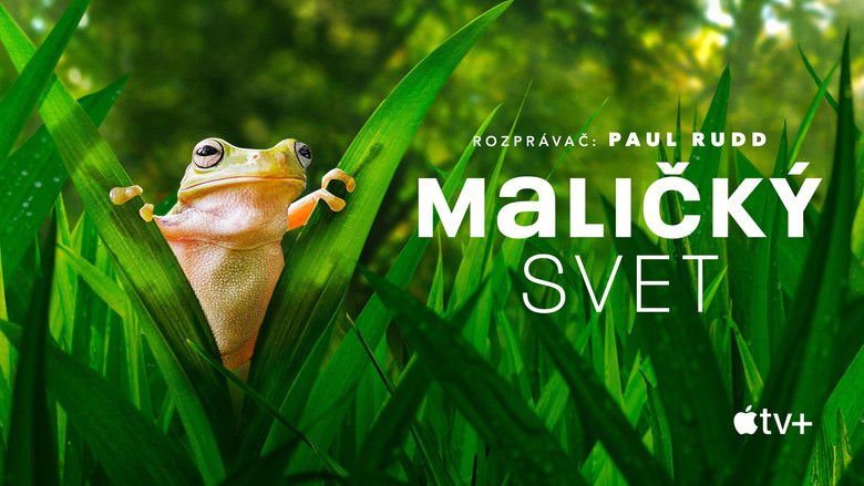 Gallery image from qMbfycmpoqjGi8DFW53JzWa5pRe.jpg