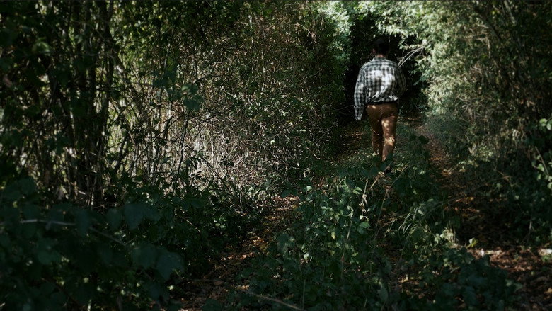 No One in the Woods
