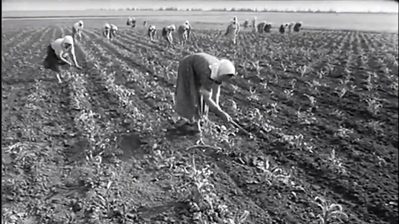 Gallery image from qMwlogb16O9SbFDOXmi2bOD9s0V.jpg