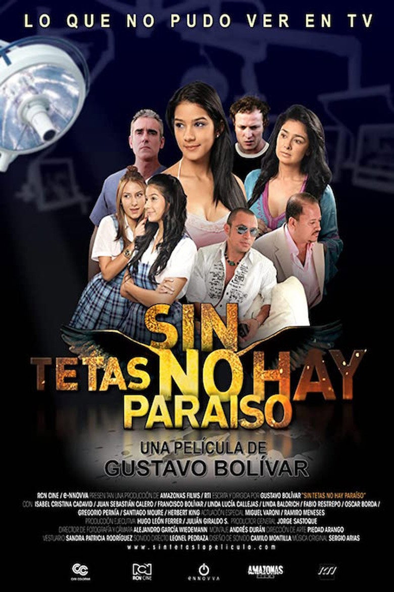 Póster la Película