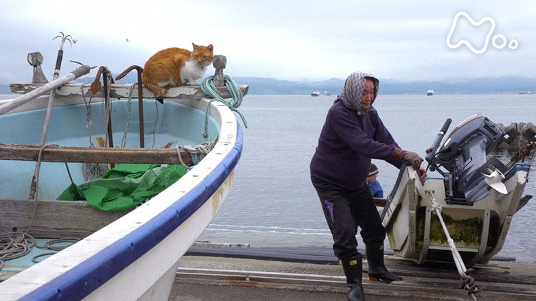 Still image for Mitsuaki Iwago's World “Cats” Travelogue season 1 episode 100: Hakodate Still image for Mitsuaki Iwago's World “Cats” Travelogue season 1 episode 100: Hakodate